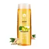 Shampoo Volumizador Controle de Oleosidade Flor de Abelha Autêntico, Condicionador de Cabelo Limpante e Perfumado, Shampoo Fortalecedor de Cabelo com Gengibre para Cuidados Tradicionais Chineses com o Cabelo