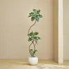 Plantas Verdes Artificiais, Árvore de Borracha Preta de Luxo de Alta Qualidade, Figueira Lira, Árvore Decorativa Artificial de Chão de Alta Qualidade para Sala de Estar Interna