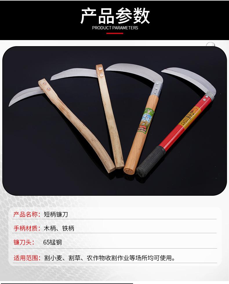 详情_05