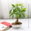 Suministro directo de fábrica de flores artificiales flor artificial árbol rico bonsái decoración interior creativa planta verde artificial planta en maceta de simulación generación de cabello