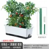En stock Transfronterizo Olinze Segunda Generación Engrosado Cuenca Holun Balcón Rectangular Maceta para Verduras Familiar Caja Larga para Plantar