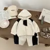 Conjunto Elegante de Ropa para Niños de Principios de Primavera, Ropa para Bebés de Primavera y Otoño, Conjunto de Dos Piezas de Moda Estilo Coreano