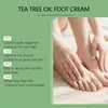 Jaysuing Crema para el Cuidado de los Pies con Aceite de Árbol de Té Extractos de Plantas Nutre y Refresca los Pies, Cuidado de la Piel No Pegajoso