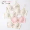 Lencería de encaje para mujeres con poco busto, sin aros, soporte suave, anticaída, dulce estampado floral, push-up, fino, bonito sujetador de espalda