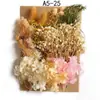 Bolsa de Materiales DIY Flor Seca Inmortal Tuanjian Marco de Fotos Pintura Tarjeta de Felicitación Tuanfan Ramo Pequeño Hecho a Mano Flor Real Bolsa de Flores en Relieve