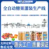 Máquina Rellenadora Automática de Dulces Relleno de Dulces Blandos Dulces Duros Azúcar de Café Azúcar de Vitamina E Línea de Producción de Relleno de Granulados