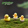 Adornos decorativos de micro-paisaje plantas suculentas en maceta accesorios de jardinería zakka comestibles patos grandes y pequeños