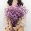 Buquê de Gipsofila Seca Preservada Flores Secas Brancas Flores Reais Secas ao Ar Flores Grandes Decoração de Sala de Estar Arranjo de Flores Flores para Fotografia de Casamento