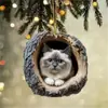 Adornos de Árbol de Acrílico Nuevos Transfronterizos para Animales Colgantes de Árbol de Navidad Impresión Plana de Mapache Decoraciones Colgantes