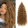 GOGO Peluca de Crochet de Resorte Rizado Cabello Largo Rizado Ola Profunda Fibra Química Transfronteriza Europea y Americana Venta al por Mayor