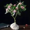 Plantas grandes em vasos com bordas douradas, fragrância forte, com botões florais, adequadas para uso interno e externo, plantas maduras para contemplação das flores, resistentes ao frio, florescem o ano todo