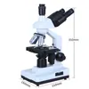 Microscopio Biológico Binocular Delang Hogar Alta Definición Acuicultura Estudiantes de Secundaria Observar Bacterias Laboratorio Profesional Pantalla con Correa