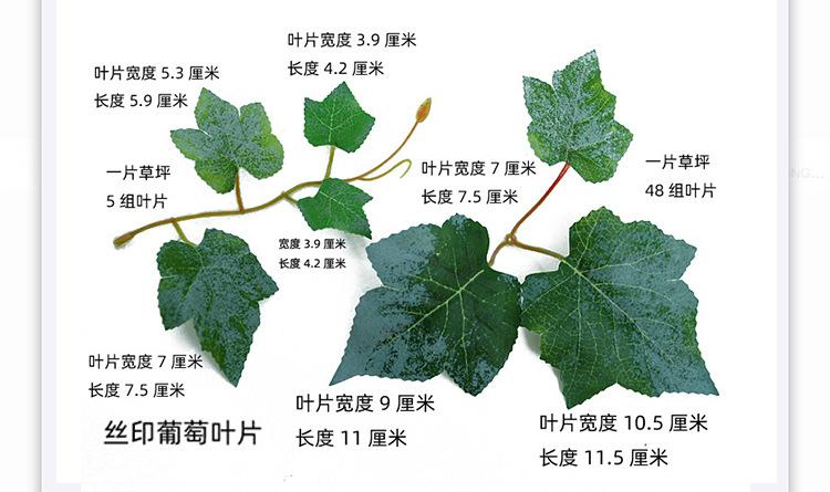 5050植物墙详情页22