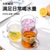 Taza de Vidrio Lemeiya Taza para Agua Potable Doméstica con Patrón de Glaciar con Asa Resistente a Altas Temperaturas Taza de Té para Hombre de Gran Capacidad Taza para Agua