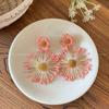 Adecuado para vacaciones junto al mar, aretes de girasol, verano para mujer, temperamento exagerado, aretes de playa, aretes para fotos de viaje