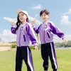 Roupas de Verão para Jardim de Infância Algodão Manga Curta Estilo Universitário Uniforme de Escola Primária Verão Turma Grande Foto de Formatura Roupa de Aula de Esportes