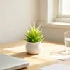 Produto popular transfronteiriço: bonsai de aloe vera pequeno artificial em um vaso de vinho, decoração de casa fresca e simples para a mesa da sala de estar, ornamento de planta suculenta artificial