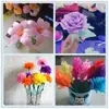 Papel crepé de color engrosado flor de papel crepé papel elástico papel para rizar material de manualidades para jardín de infantes papel para manualidades DIY flor de rosa doblar papel