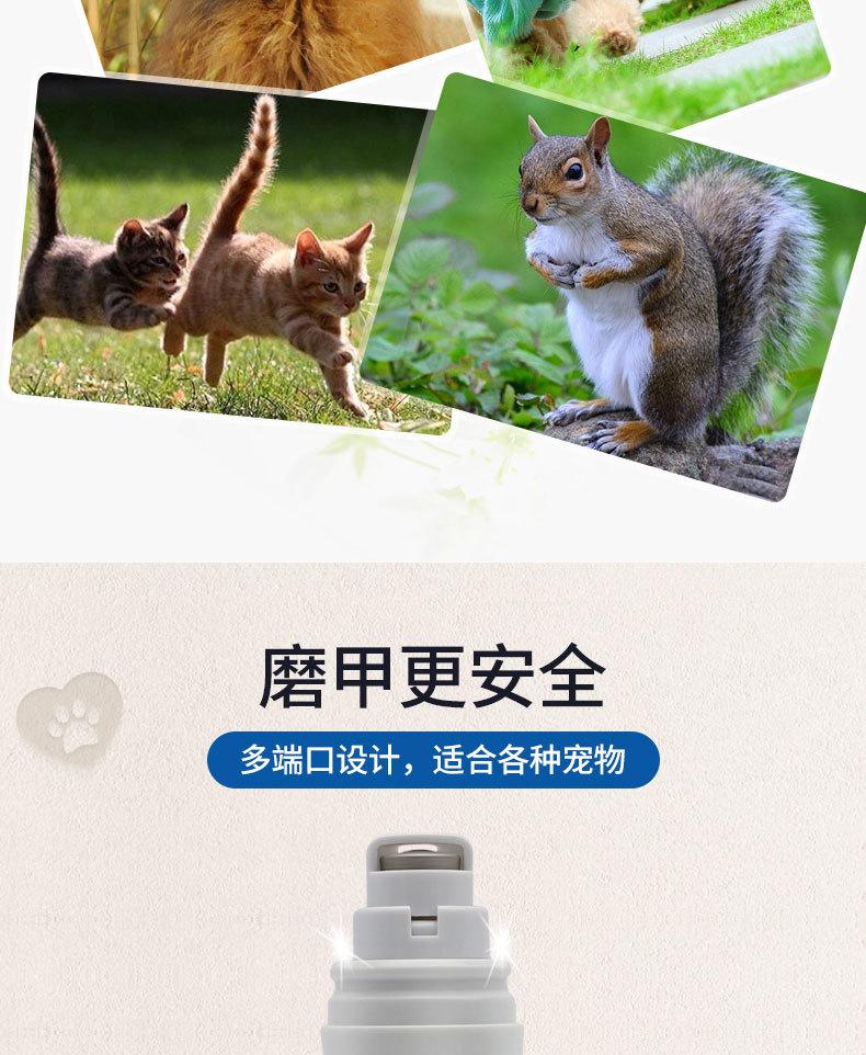 306详情_04