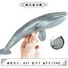 Simulação Tubarão Modelo de Animal Marinho Grande Tubarão Branco Megalodon Tubarão Tigre Baleia Azul Polvo Polvo Lagosta Brinquedo