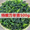 Producto Nuevo, Peso Neto 500g, Col Rizada Seca, Verduras Deshidratadas, Aceitunas Secas, Hojas de Verdura Deshidratadas, Colza Seca