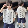 Camisa POLO Infantil de Verão Manga Curta Fina Camiseta de Verão para Meninos 2026 Nova Moda Blusa de Meia Manga para Meninos