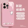 Capa Fofa de Coelho em Desenho Animado de Vidro Temperado Macio para iPhone 16 Pro Max na Temporada de Volta às Aulas, Suporta Personalização