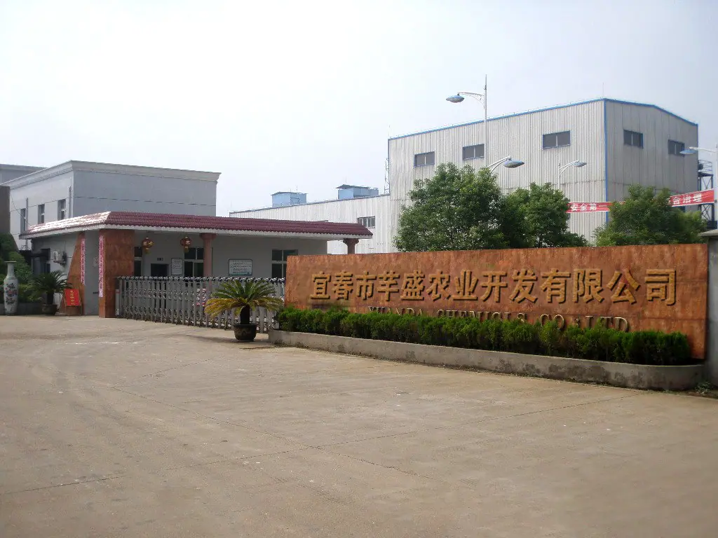 公司图片场景