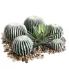 Planta cacto simulação criativa planta verde Mori design Pukui personalizado layout de paisagem disparo especial diferença de frete