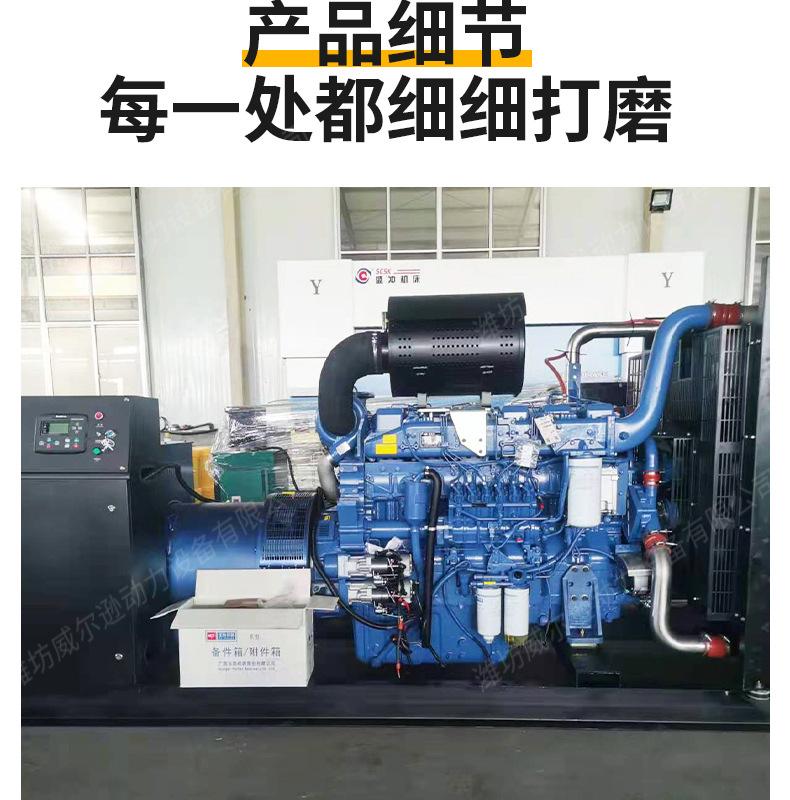 玉柴500千瓦发电机组_07.jpg