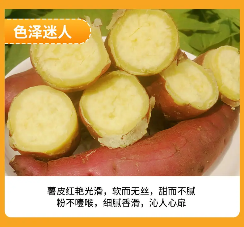 详情790_06.jpg