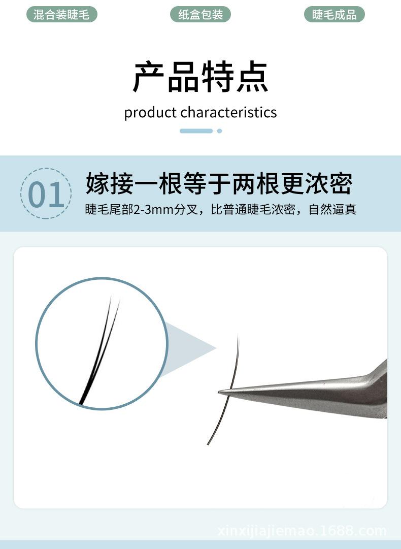 扁毛_05.jpg