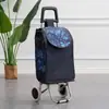 Carrito de Compras de Acero Inoxidable, Carrito Trepador de Escaleras, Carrito Grande Plegable para el Hogar para Personas Mayores, Carrito de Arrastre Manual