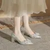 Jin Jin CH60-46 zapatos de boda de tacón grueso y punta fina para mujer 2024 nuevos zapatos de una sola capa para primavera y otoño sexy zapatos de novia tacones altos para mujer