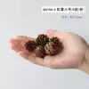 Flores secas canela limão pinha mix e match flores secas artesanais pequeno buquê fresco aromaterapia pacote de material DIY lembrança presente