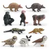 Conjunto de 10 Peças de Figuras de Animais Selvagens Figurinhas de Animais em PVC Inclui Coelho Rato Gibão Panda Vermelho Tatu Coruja e Mais Brinquedos Educacionais para Crianças