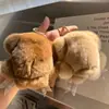 Chaveiro de Urso de Pelo de Coelho Rex Real, Pingente de Boneca de Pelúcia, Brinquedo Fofo Estilo Ins, Decoração para Mochila e Carro