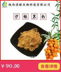 沙棘果粉_副本