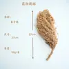 Comida para hámsteres grano lecho para mascotas mijo trigo avena comida para mascotas cáscaras de grano amarillo decoración de nido para mascotas comida para hámsteres