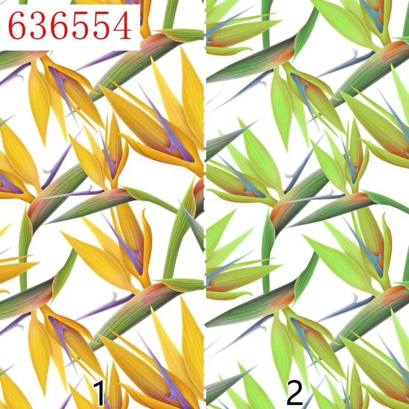 6554.jpg