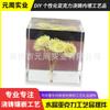 Cubos de Pegamento de Cristal con Artesanías Incrustadas, Resina Incrustada con Artesanías de Pegamento de Cristal Acrílico Transparente Modelo