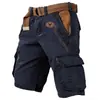 Pantalones casuales fluidos de estilo ligeramente maduro, pantalones cargo con estampado 3D, pantalones casuales deportivos holgados, pantalones casuales color té marrón estilo old money