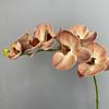 7 Cabezas Táctiles de Silicona Algodón Phalaenopsis Flor Artificial Orquídea Táctil Decoración de Pasillo de Boda Flor Falsa Phalaenopsis Europea