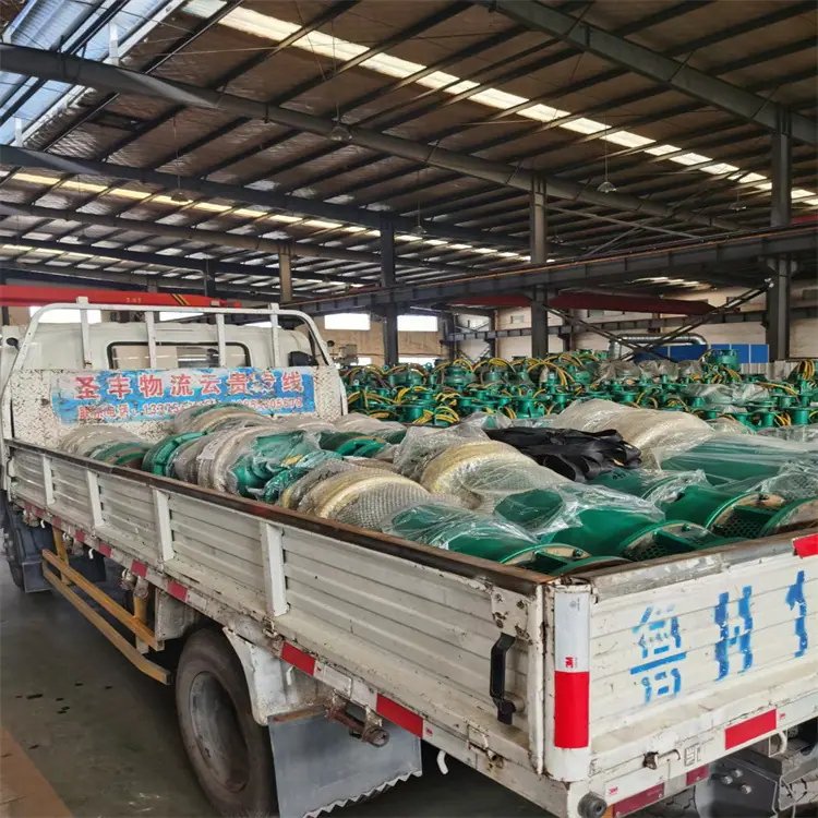 BQS200-25-30/N潜水泵 排污能力强 防缠绕无堵塞 防爆潜水泵
