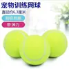 Bola de Treino de Tênis para Crianças, Bola de Tênis Durável para Cachorros, Bola de Massagem Fitness de Alta Elasticidade para Iniciantes