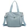 Bolsa de Ombro Feminina Sazonal Inverno Nova Tecido de Nylon Bolsa de Ombro Leve Bolsa de Nylon Moda Transfronteiriça Bolsa Feminina