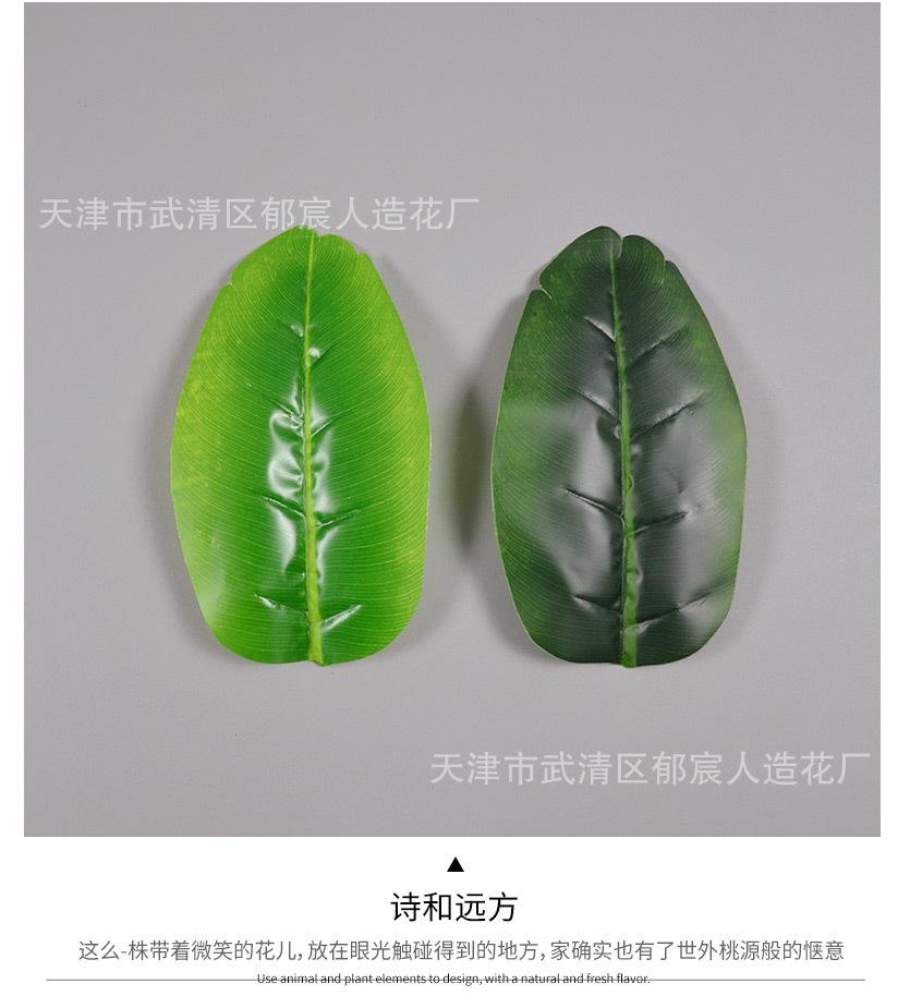 详情_06.jpg