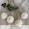4 Flores de Crisântemo Artificiais para Decoração de Casamento, Arranjo de Corredor, Crisântemo de Ping Pong, Decoração de Sala de Estar em Casa, Flores Artificiais