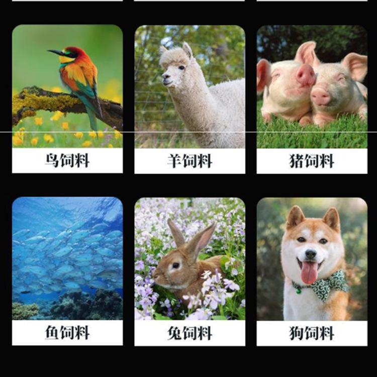 微信图片_20201130104834_副本.png