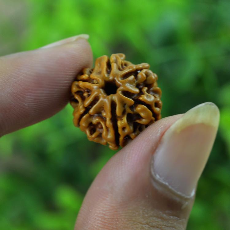 1753205842_1586969889